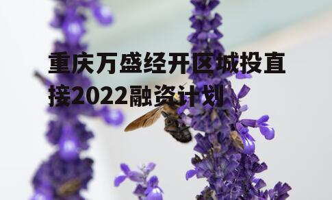 重庆万盛经开区城投直接2022融资计划