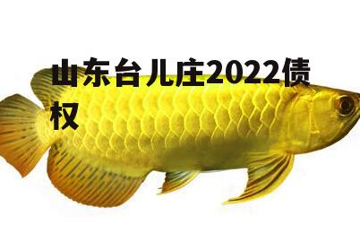 山东台儿庄2022债权