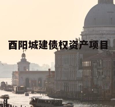 酉阳城建债权资产项目