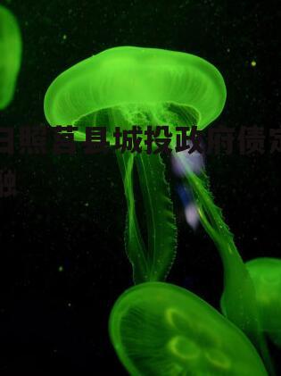 日照莒县城投政府债定融