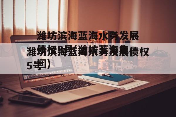 潍坊滨海蓝海水务发展债权5号(潍坊蓝海集团)
