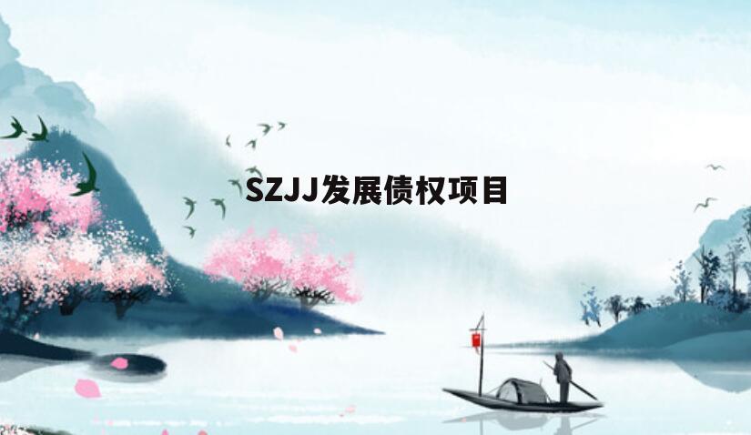 SZJJ发展债权项目