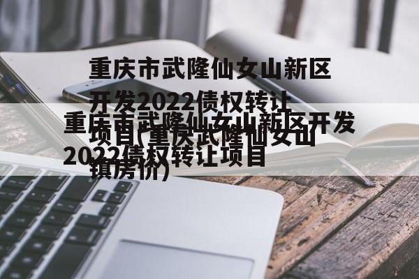 重庆市武隆仙女山新区开发2022债权转让项目(重庆武隆仙女山镇房价)