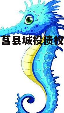 日照莒县城投债权融资计划