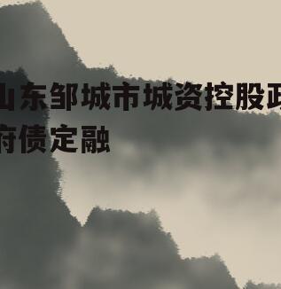 山东邹城市城资控股政府债定融