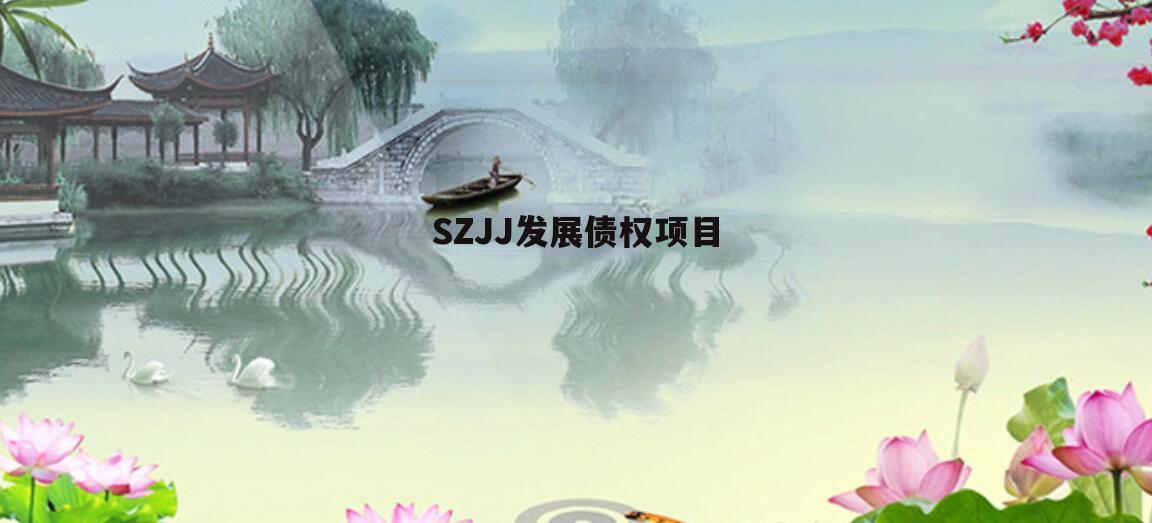 SZJJ发展债权项目
