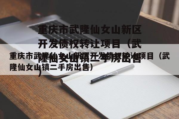 重庆市武隆仙女山新区开发债权转让项目（武隆仙女山镇二手房出售）