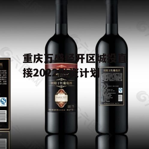 重庆万盛经开区城投直接2022融资计划
