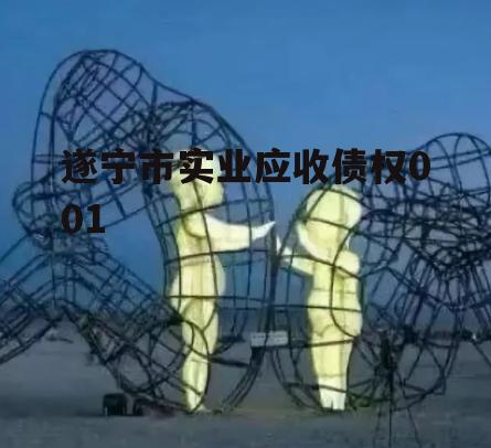 遂宁市实业应收债权001