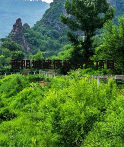 酉阳城建债权资产项目