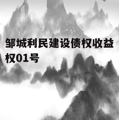 邹城利民建设债权收益权01号