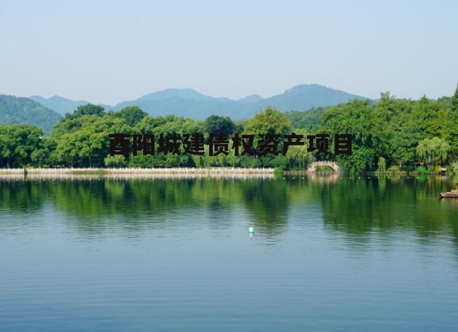 酉阳城建债权资产项目