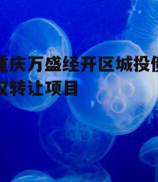 重庆万盛经开区城投债权转让项目