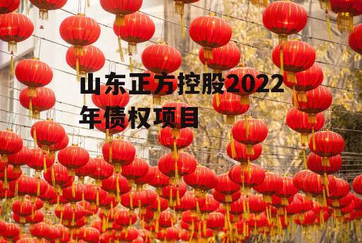 山东正方控股2022年债权项目