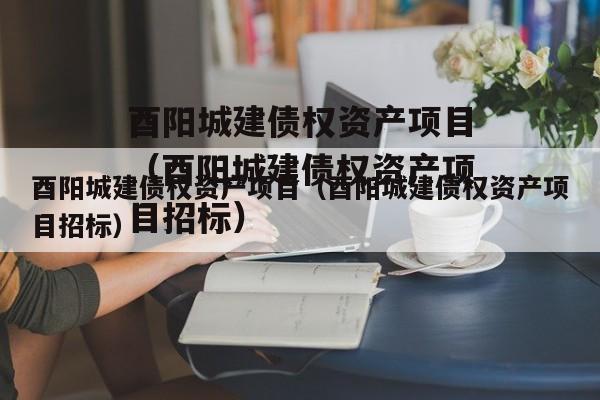 酉阳城建债权资产项目（酉阳城建债权资产项目招标）