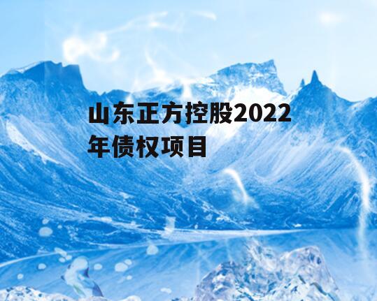 山东正方控股2022年债权项目