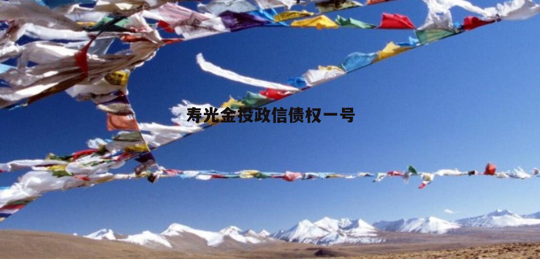 寿光金投政信债权一号