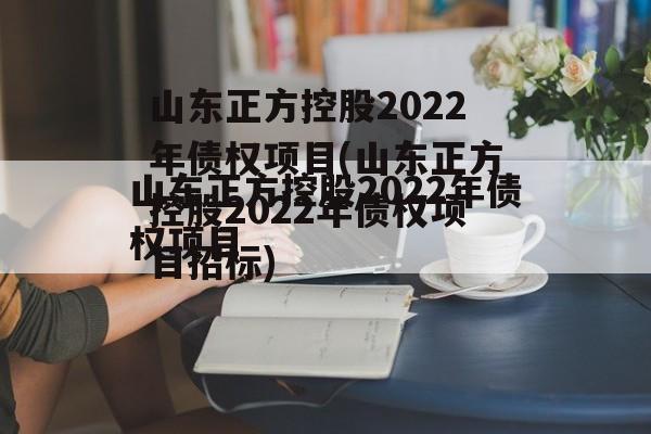 山东正方控股2022年债权项目(山东正方控股2022年债权项目招标)