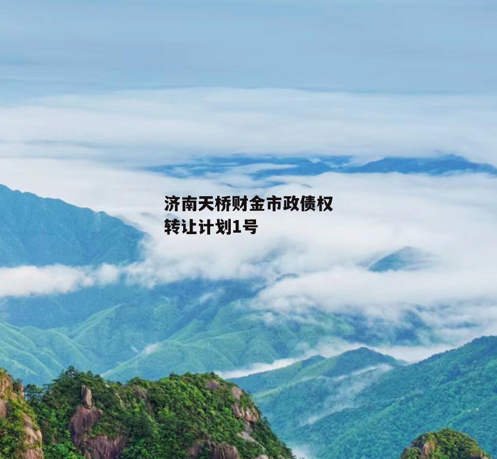 济南天桥财金市政债权转让计划1号
