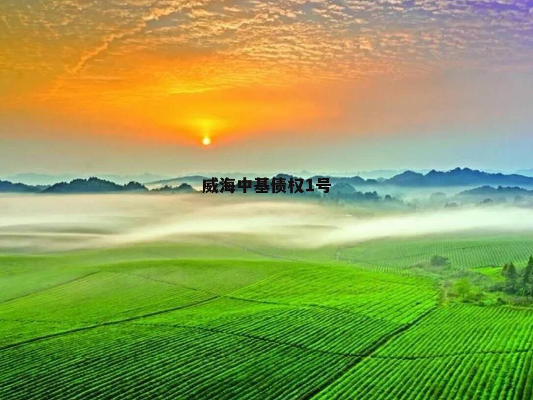 威海中基债权1号