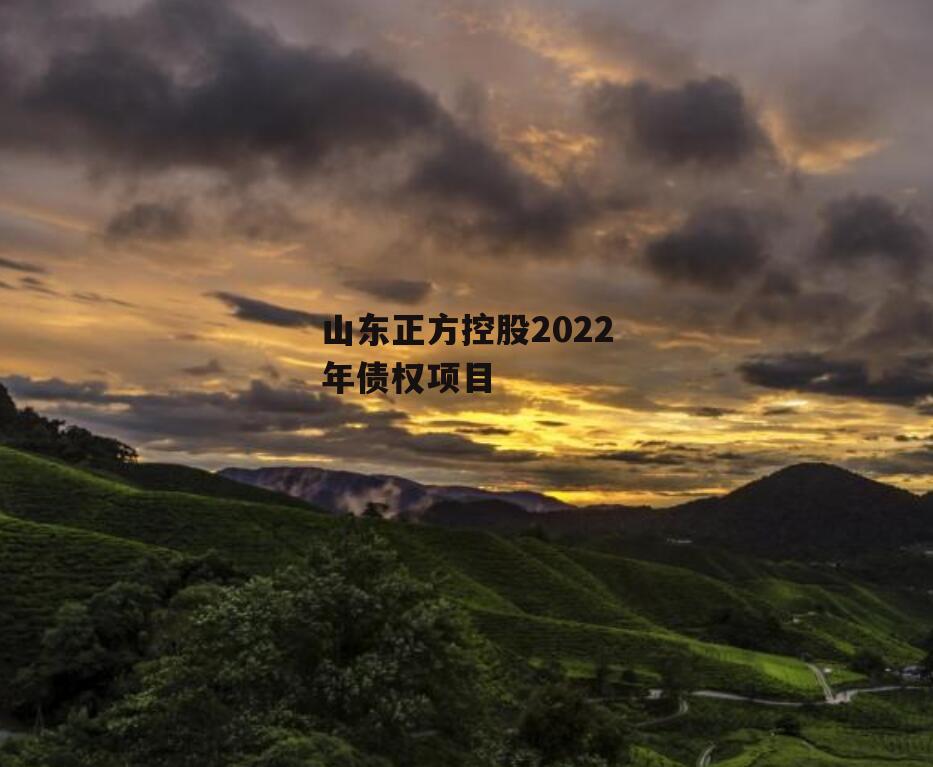 山东正方控股2022年债权项目