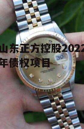 山东正方控股2022年债权项目