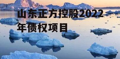 山东正方控股2022年债权项目