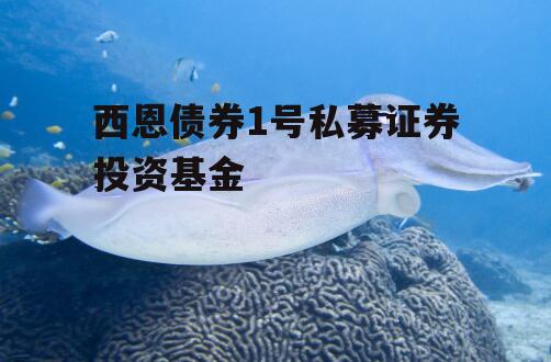 西恩债券1号私募证券投资基金