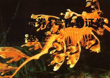 西恩债券1号私募证券投资基金