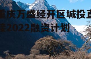 重庆万盛经开区城投直接2022融资计划