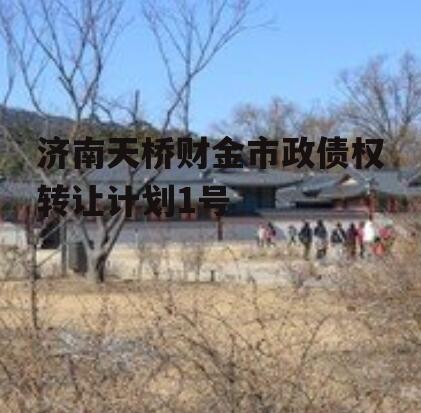 济南天桥财金市政债权转让计划1号