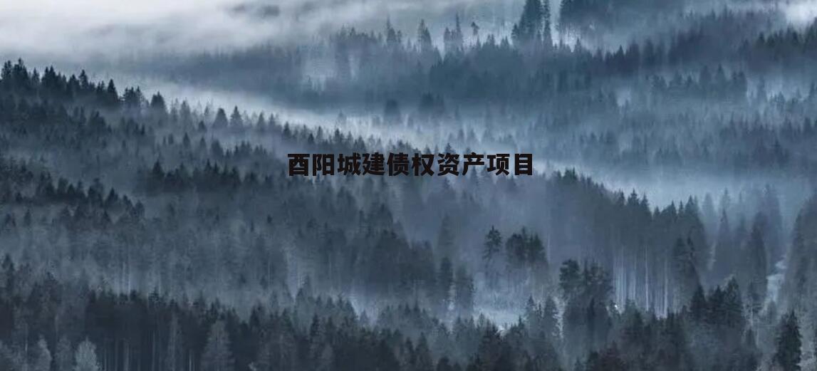 酉阳城建债权资产项目