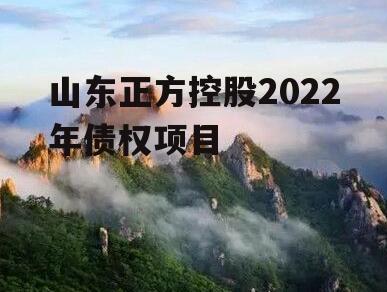 山东正方控股2022年债权项目