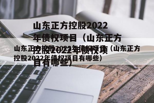 山东正方控股2022年债权项目（山东正方控股2022年债权项目有哪些）