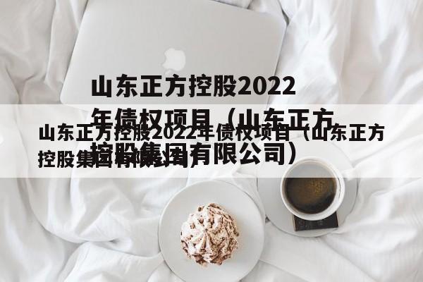 山东正方控股2022年债权项目（山东正方控股集团有限公司）