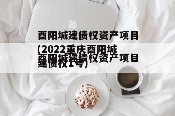 酉阳城建债权资产项目(2022重庆酉阳城建债权1号)