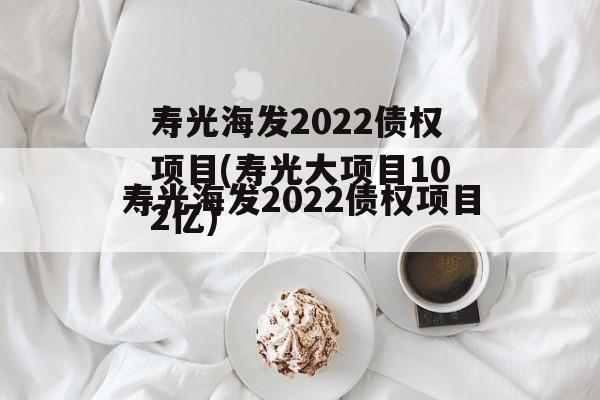 寿光海发2022债权项目(寿光大项目102亿)