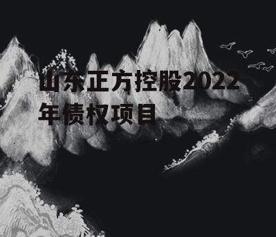 山东正方控股2022年债权项目