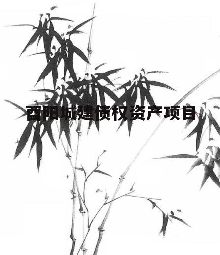 酉阳城建债权资产项目