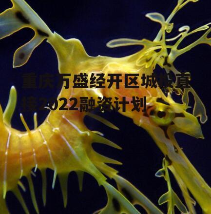 重庆万盛经开区城投直接2022融资计划