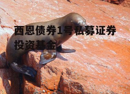 西恩债券1号私募证券投资基金
