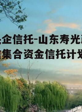 央企信托-山东寿光政信集合资金信托计划