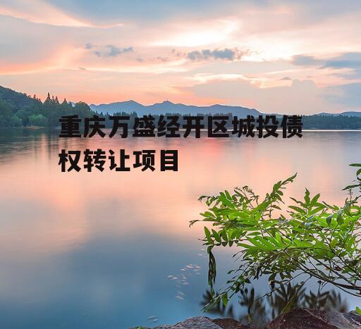 重庆万盛经开区城投债权转让项目