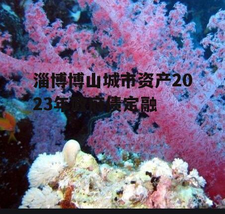 淄博博山城市资产2023年政府债定融