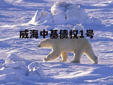 威海中基债权1号