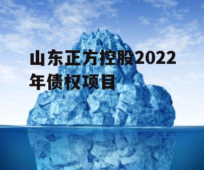 山东正方控股2022年债权项目