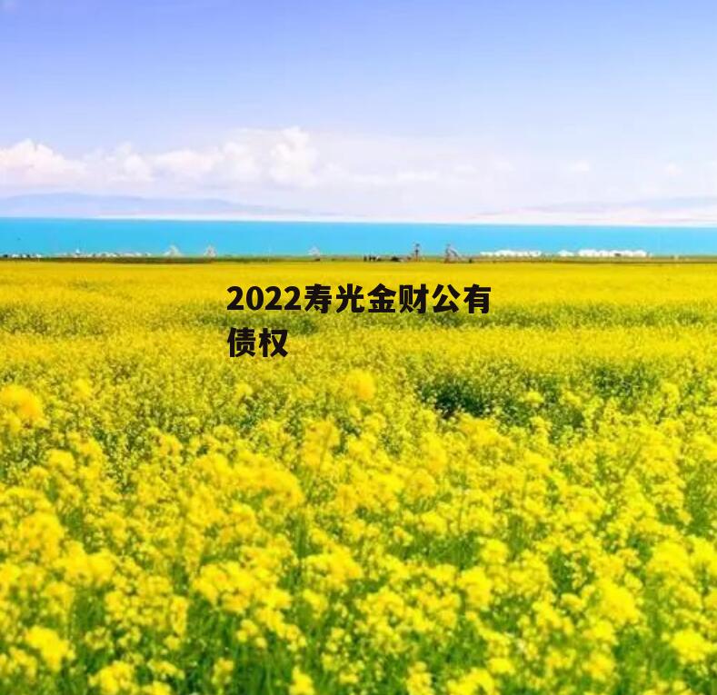 2022寿光金财公有债权