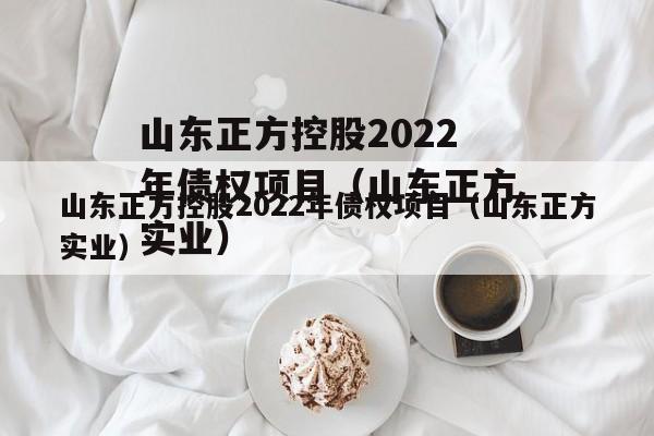 山东正方控股2022年债权项目（山东正方实业）