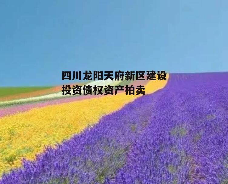 四川龙阳天府新区建设投资债权资产拍卖