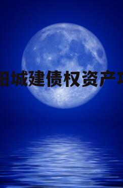 酉阳城建债权资产项目
